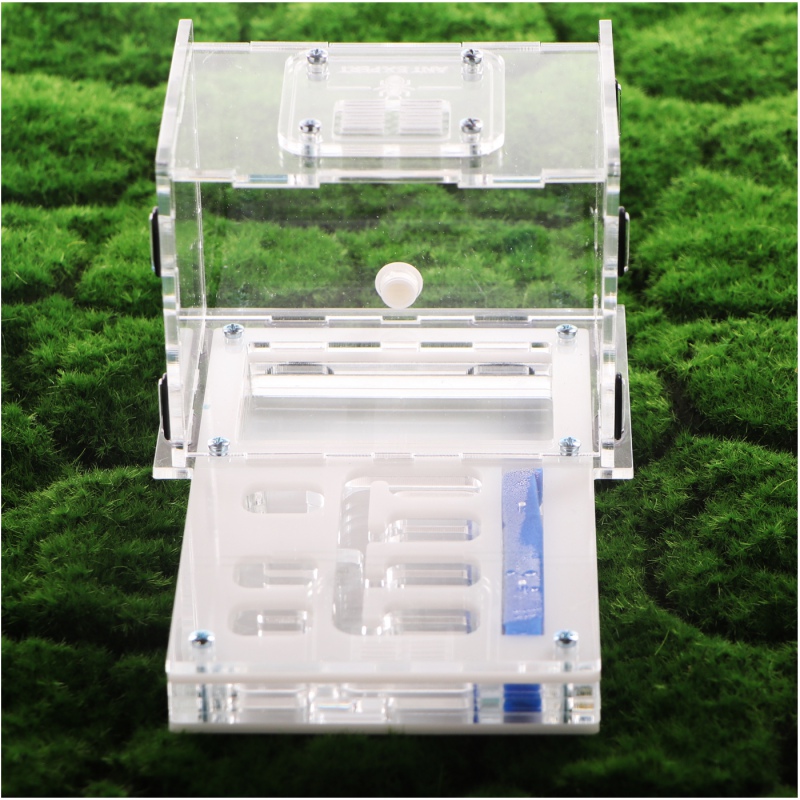 Ant Expert Lost Tunnels - professional acrylic formicarium